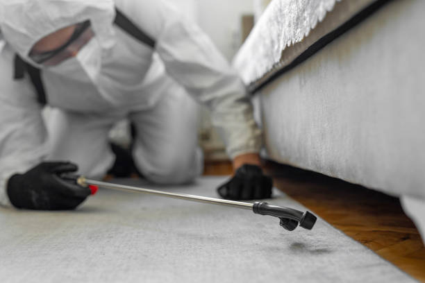 Professional Termite Control technician working in Ord, NE