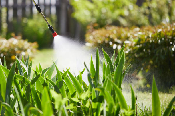 24/7 Emergency Termite Control experts in Ord, NE